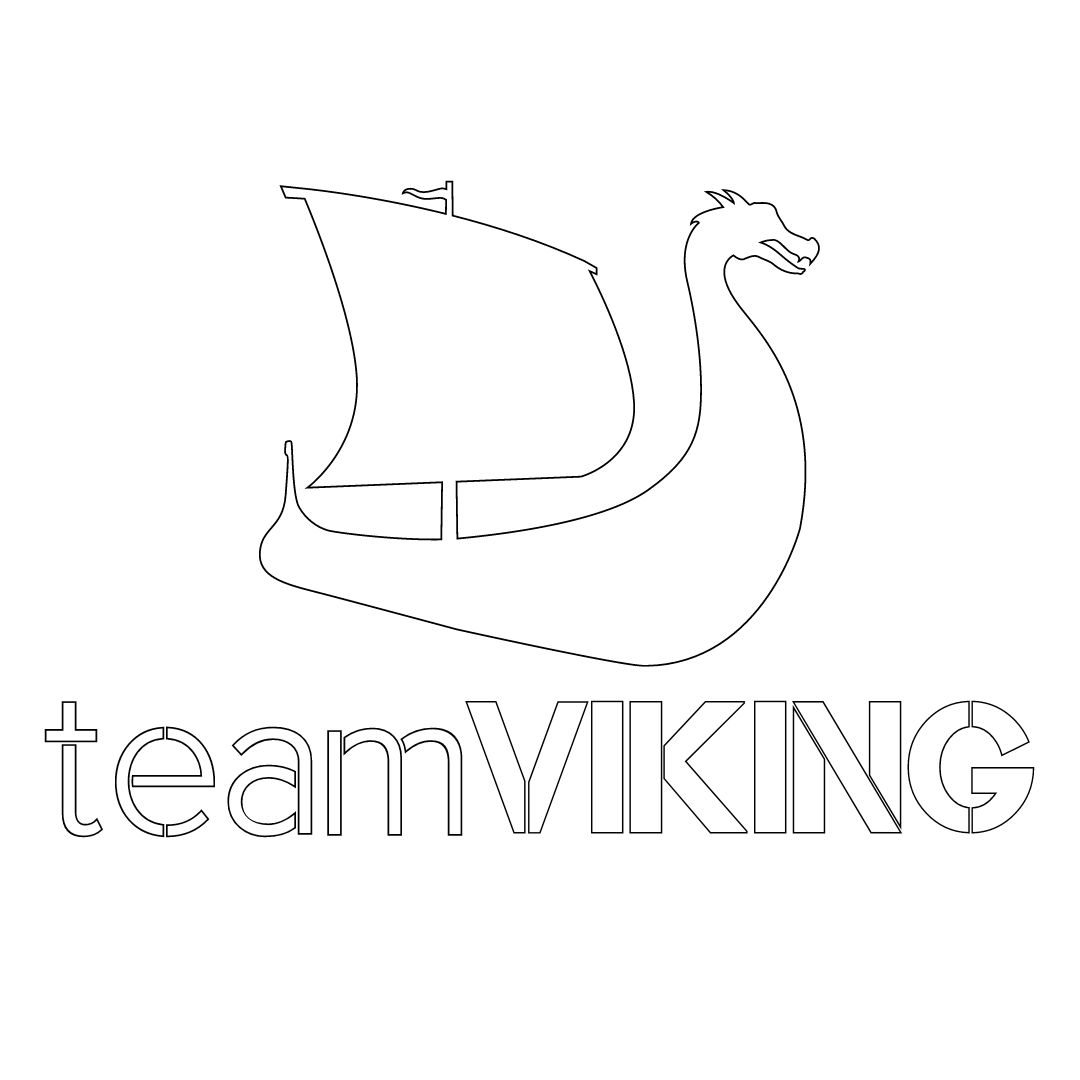 Team Viking