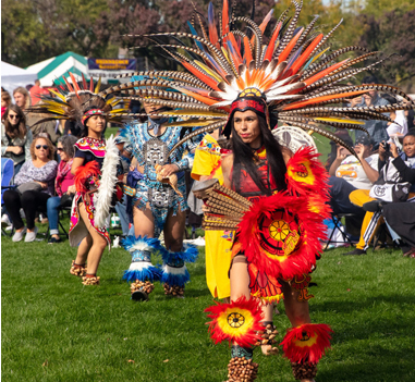 Indigenous Engagement